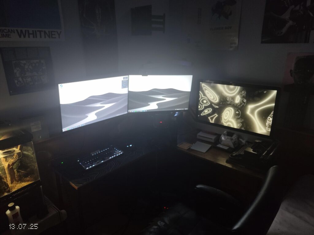 Black and white aesthetic