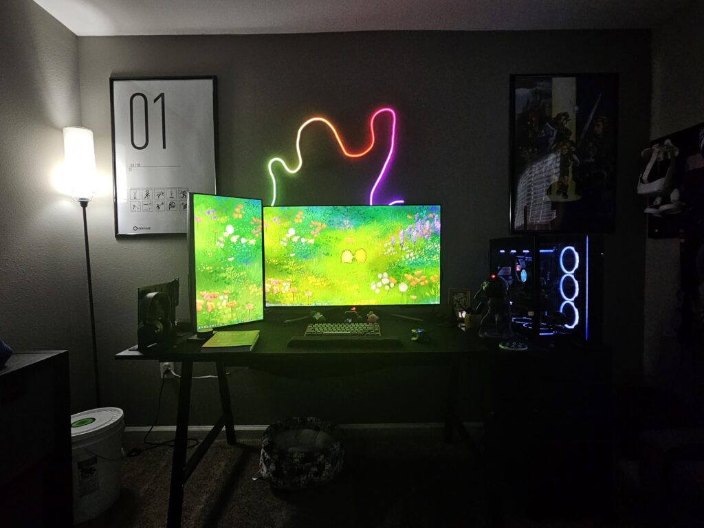 First apartment set-up