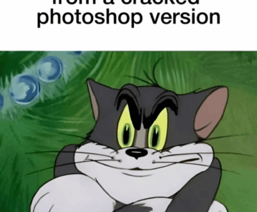 Mildly infuriating