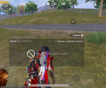 What is this guys ?