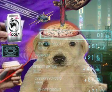 The true Cyberpunk experience