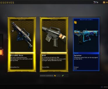 Dlc weapons rarity?