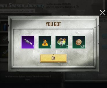 Got the MGL skin in the first spin.