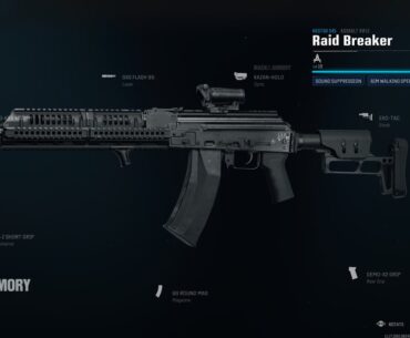 There is No Reason Gunfighter Shouldn't be Allowed on MW Guns.