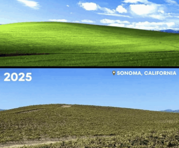 windows XP wallpaper in 1996 vs in 2025