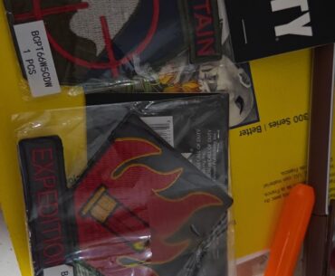 Look what my cats found lol