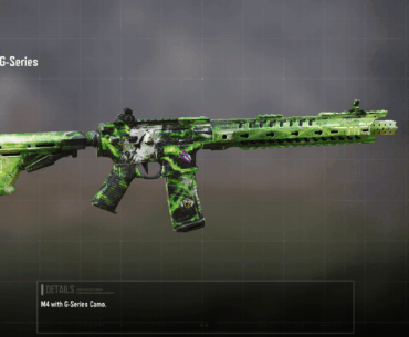 Remembered the password to my old account I've had since the alpha back in 19' probably the rarest skin in the game :)