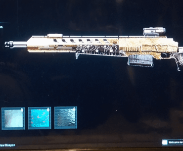 I got gold on 3 snipers and 3 marksman rifles and still don't have platinum+