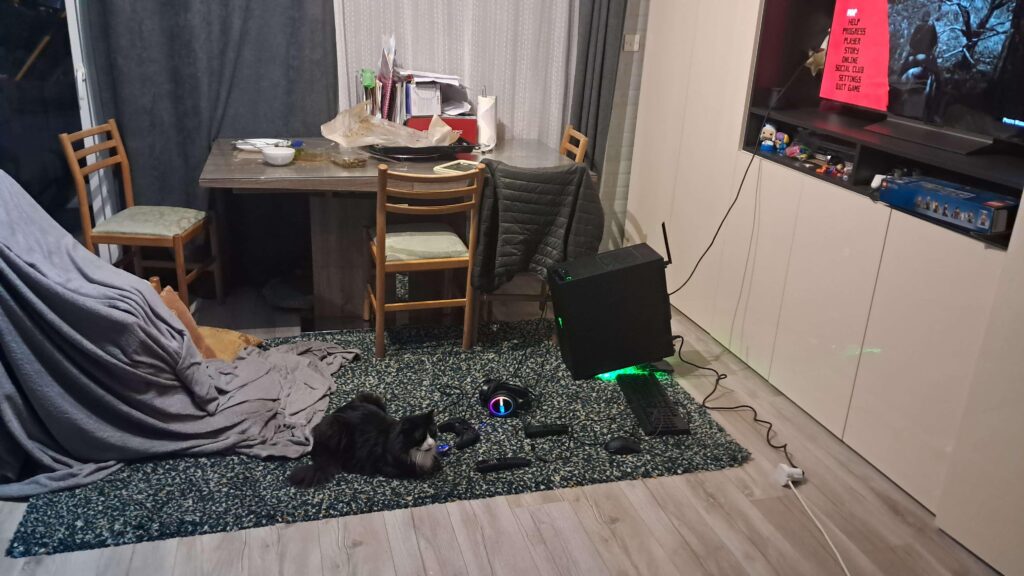 My monitor broke, so i used my OLED TV... (the cat is for emotional support)