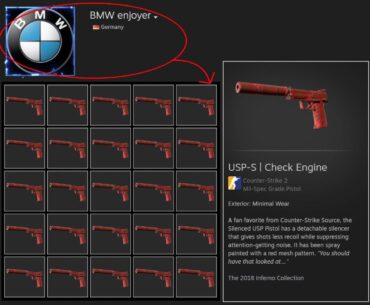 BMW driver’s fav skin