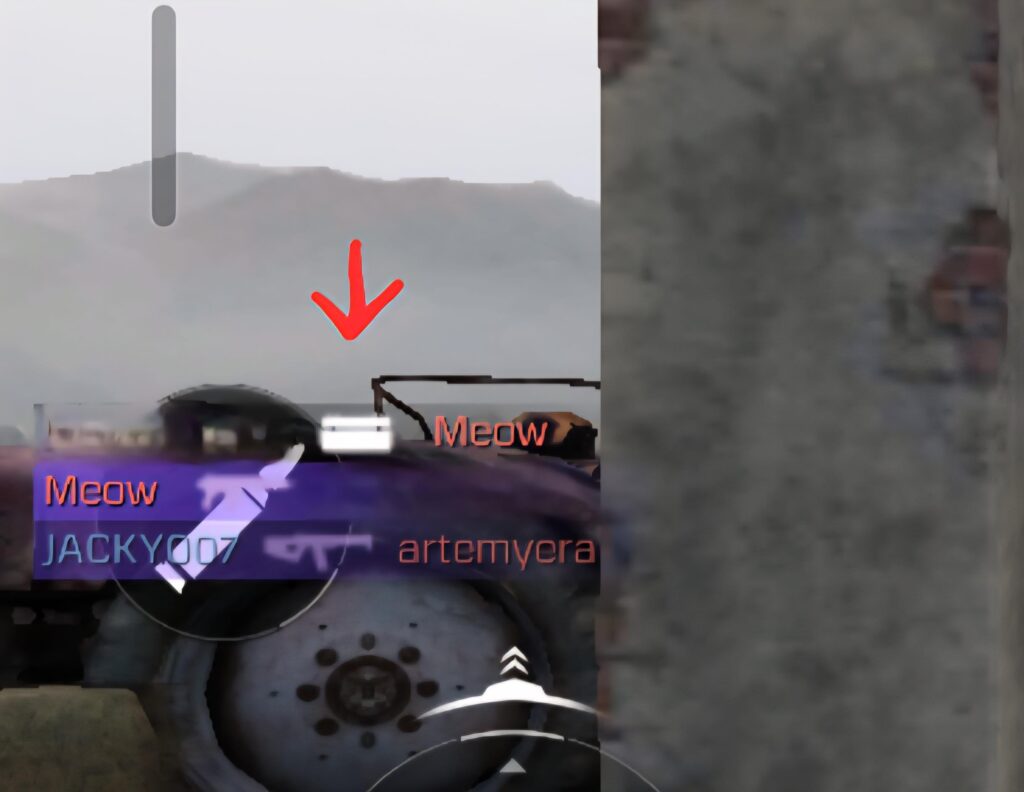 What did i kill him with?