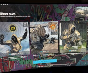 What skin is this??