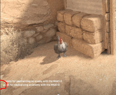 Am I the only one who is killing the chickens in DM to get 1 extra point if no enemy is near by?