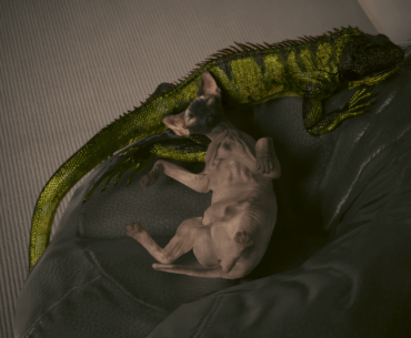 Cyberpunk just gave me the cutest moment of the day