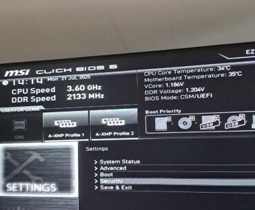 Grey cpu in bios menu