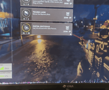 Is this normal on the pause screen??