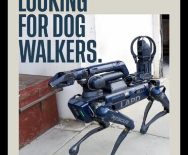 LAPD recruitment ads on Reddit…