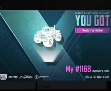 Thought I got the Skin. What is this?