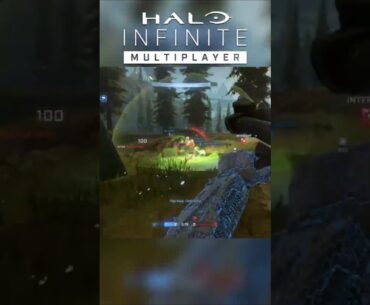 Halo Infinite Warthog Mayhem