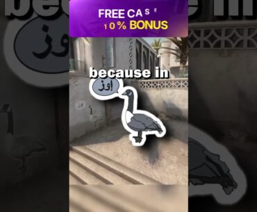 The History of Famous CS2 Call Outs?