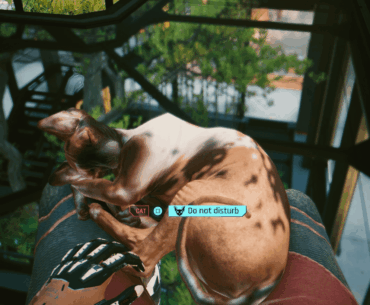 I had no idea you could have the cat sit on your lap!