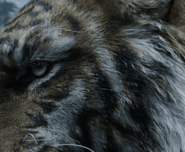 New Black Myth Game, Zhong Kui, Announced With Teaser Trailer