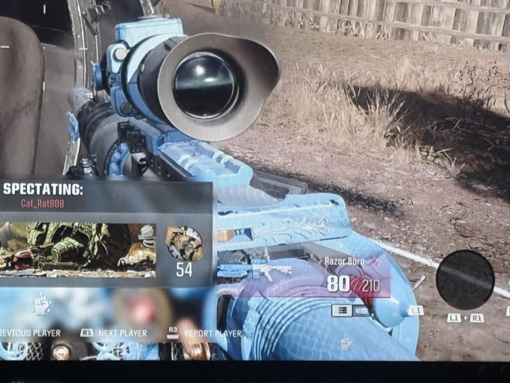 What gun is this?