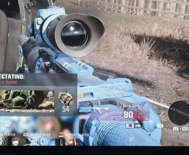 What gun is this?