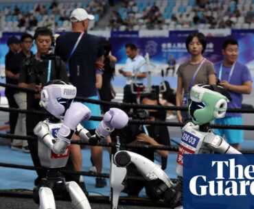 Box, run, crash: China’s humanoid robot games show advances and limitations | China
