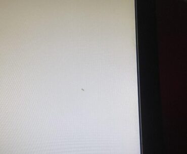 An ant got inside my monitor and i killed it