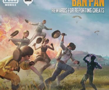 Why not introduce such rewards for reporting cheats in PUBG PC?