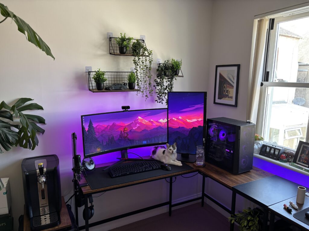 Decided to add some greenery