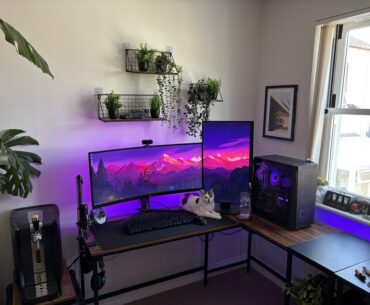 Decided to add some greenery