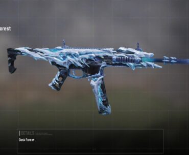 Why don't people talk about this gun?