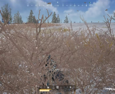 Brought back phase 5, squad dead, no chance of survival but stayed alive along enough to witness this