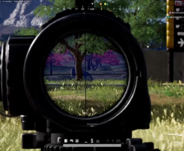 Quick short of snipes