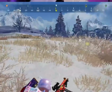 chicken dinner