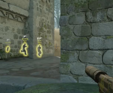 S1mple body cover