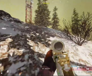 Classic Decoys