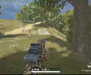 Dub with randoms