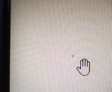 Tiny insect in laptop screen, please help!