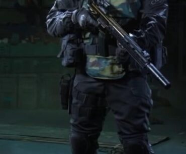 Trying to do some research for artwork. Does anyone know what plate carrier this is, what camo is on it and if this guy is based on any IRL unit?