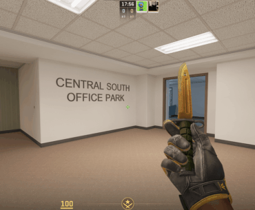 Is it just me or did Valve shrink the Bayonet in the latest update?