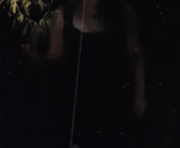Elena is back. DLC 4.