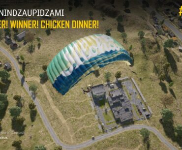 Flying chicken