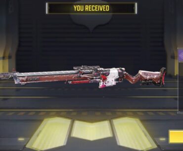 What y'all think about the skin ?