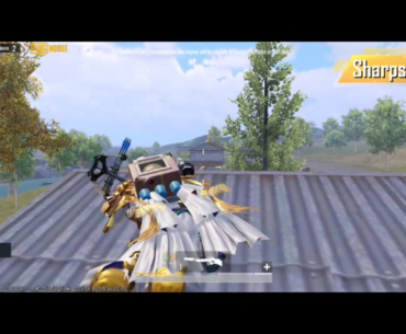 Another crossbow winwin