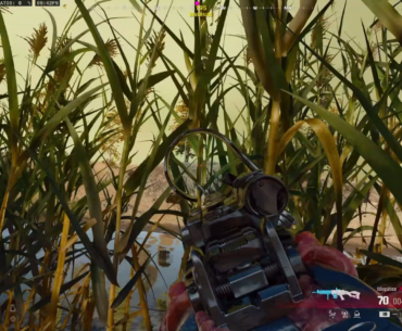Living bush, 1v5 for the win