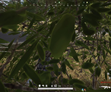 Squad wipe of the day! (For me lol)