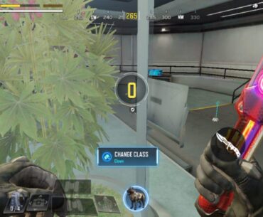 What kind of plant do you think this is?  . -.